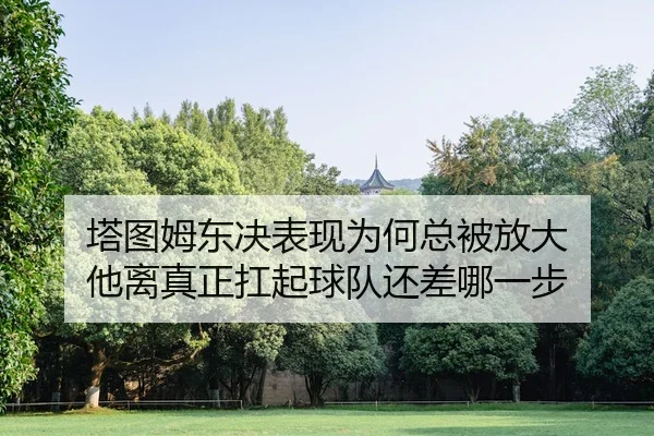 ta-tu-mu-dong-jue-biao-xian-wei-he-zong-bei-fang-da-ta-li-zhen-zheng-kang-qi-qiu-dui-hai-cha-na-yi-bu-3-532.jpg